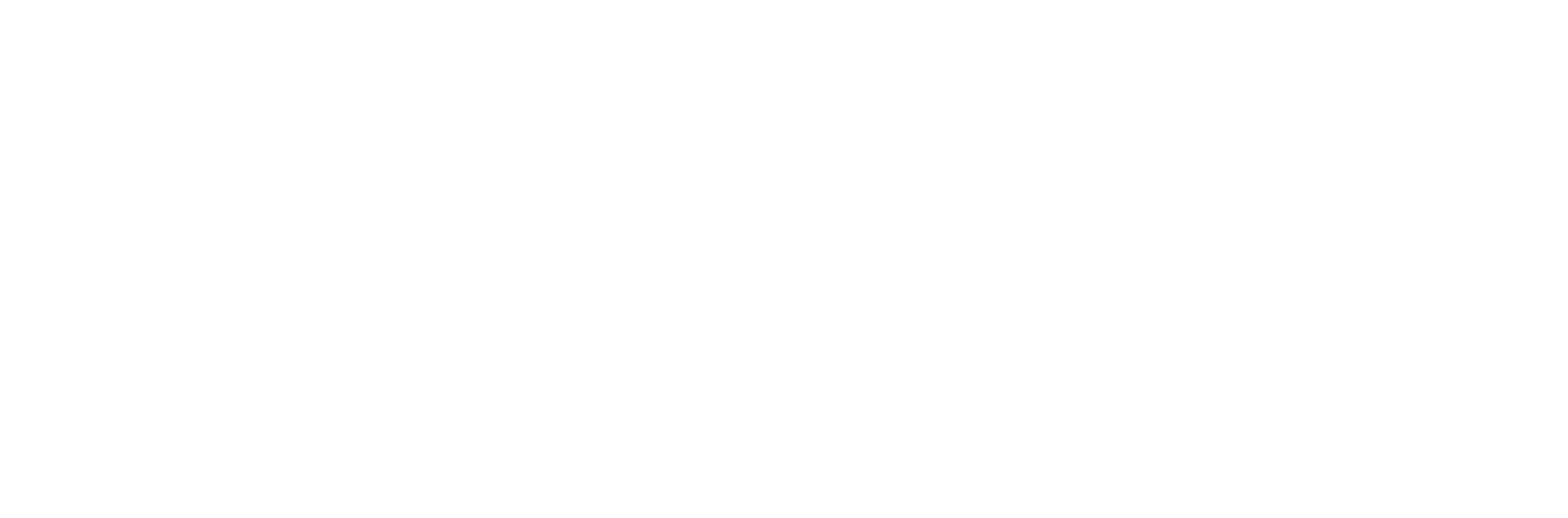 Giaimo Coiffure Logo